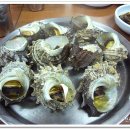 소라랑문어랑 이미지