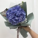 오늘도봄플라워