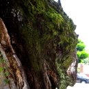 유계초등학교 이미지