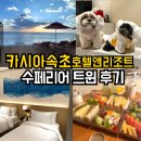 심플앤이지골프 | 카시아속초 애견동반 | 오션뷰·조식·수영장·맛집 솔직후기