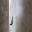 JCC미술관 | 전시 BBC선정 가장 위대한 야생사진작가 &#39;프란스 란팅: 디어포나&#39; JCC아트센터 사진전시(1) 남극과 정글