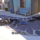 엄마김치 이미지