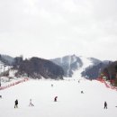 (주)평화여행사 이미지