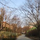 수원팔색길 도란길 이미지