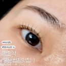 크리스탈아이래쉬