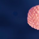 구산탑정형외과의원 이미지