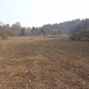 양지고속주유소 이미지