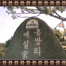 청매실농원 이미지