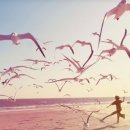 갈매기꿈 이미지