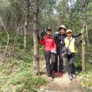 제주서초등학교 이미지