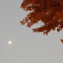 위례성로 이미지