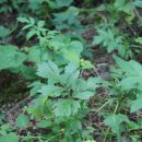 조양초등학교 이미지