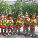 월포농장 이미지