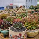 풀잎하우스 이미지