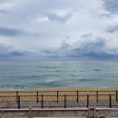 정동진역 이미지