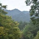 불영계곡1전망대 이미지