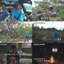 삼시세끼 이미지