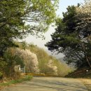 산사가는길 이미지