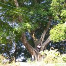 단산마을 이미지