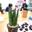 커피박 클레이 방향제 만들기 이미지