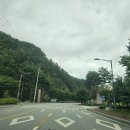 경북 울진 금강소나무숲길 가족탐방로 트레킹 #1 이미지