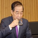 탄 이미지