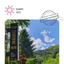 리얼다이어트캠프 이미지