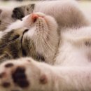 (주)인디고 이미지