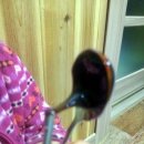 버들골 이길리 이미지