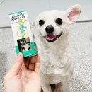 팅크 이미지
