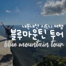 2683 | 시드니 블루마운틴 투어 내돈내산 인생샷 후기 +준비물