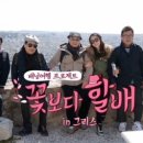 동아항공여행사
