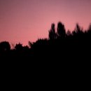 섬진강나루 이미지