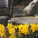 소여 민박 이미지