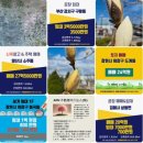 올리브부동산중개법인 이미지