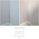 New~![Aster]곰팡이 제거젤 이미지