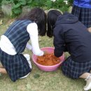 해남고등학교 이미지