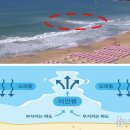 해조원 뉴스1