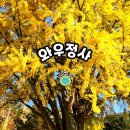 청년 김대건길 | 경기도 용인 단풍명소 와우정사 은행나무길 찾아가는 방법/청년김대건길/길업습지 차크닉
