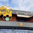 꿀벌집 | 칠곡 아이랑 가볼만한 곳, 꿀벌나라테마파크 솔직 후기 (무료 입장, 주차 꿀팁)