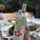 청림민박 이미지