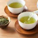 녹차 효능 부작용 녹차 카페인 함량 칼로리 이미지