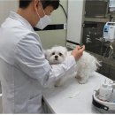 24시 마이동물의료센터 이미지