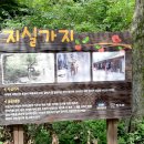 장안산 마실길 이미지