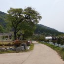 강림면사무소 이미지