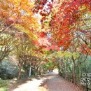 풍암제길 이미지