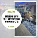 감탄떡볶이효자 | 주말 아이와 갈만한곳, 일산 뮤즈키즈카페 가성비 종일권으로 지치지 않고 똑똑하게 노는 법