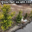 케이앤피나노