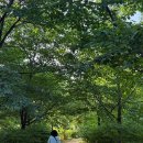 MK동물병원 | [공지] 진정한 커피집을 찾다