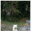 기역농장 이미지